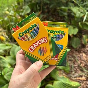 Vintage Crayola Crayons Retired Colors Dandelion Lot of 2